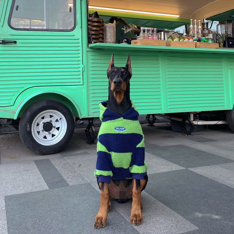 Green and navy striped dog hoodie with hood and front pocket.
