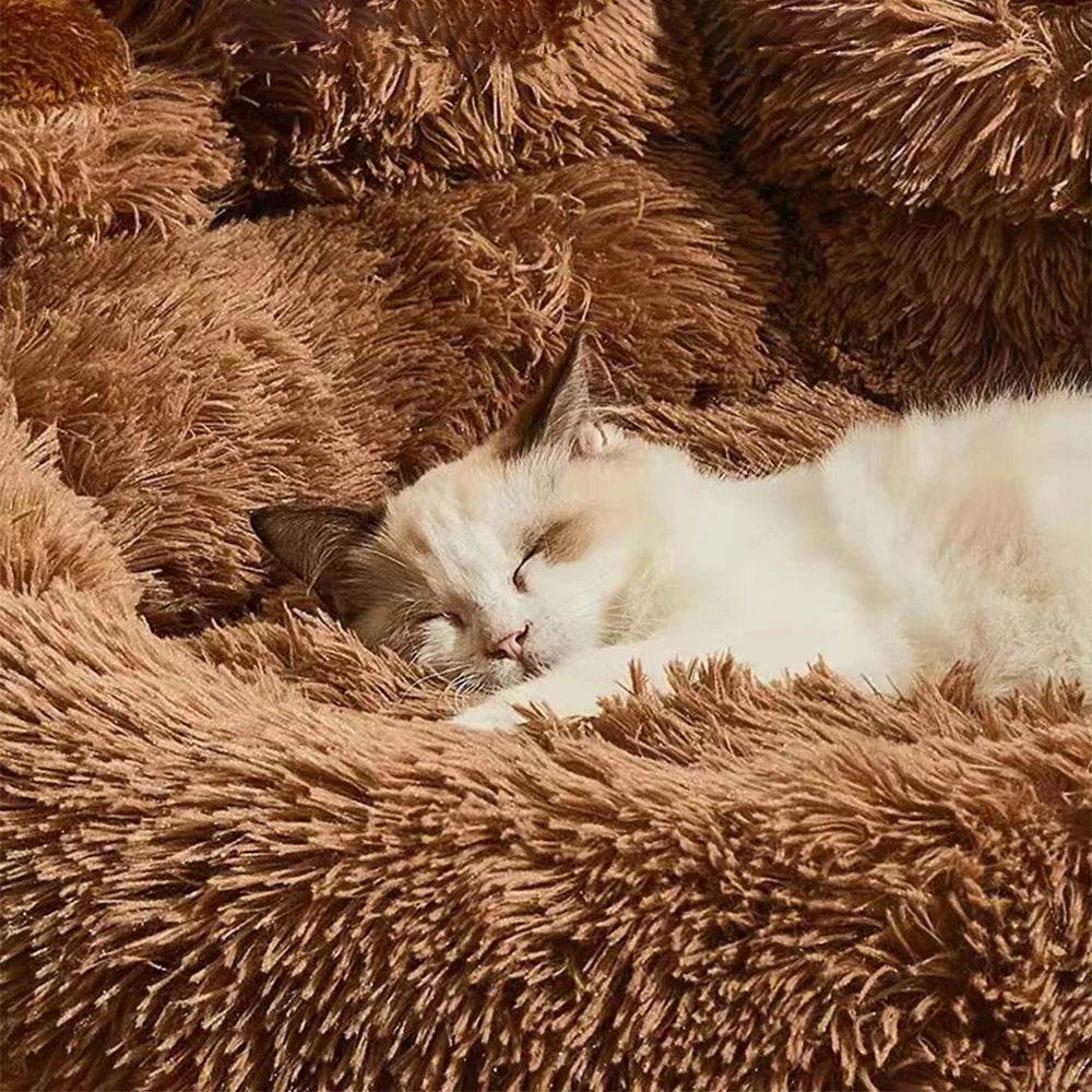 Brown shag plush pet sofa bed with white-and-cream cat resting in the center
