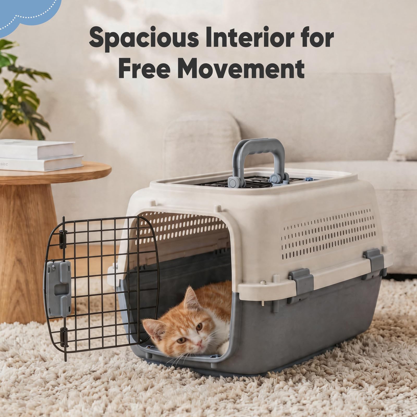 Airline-approved pet carrier crate with kitten inside on plush rug, wire front door