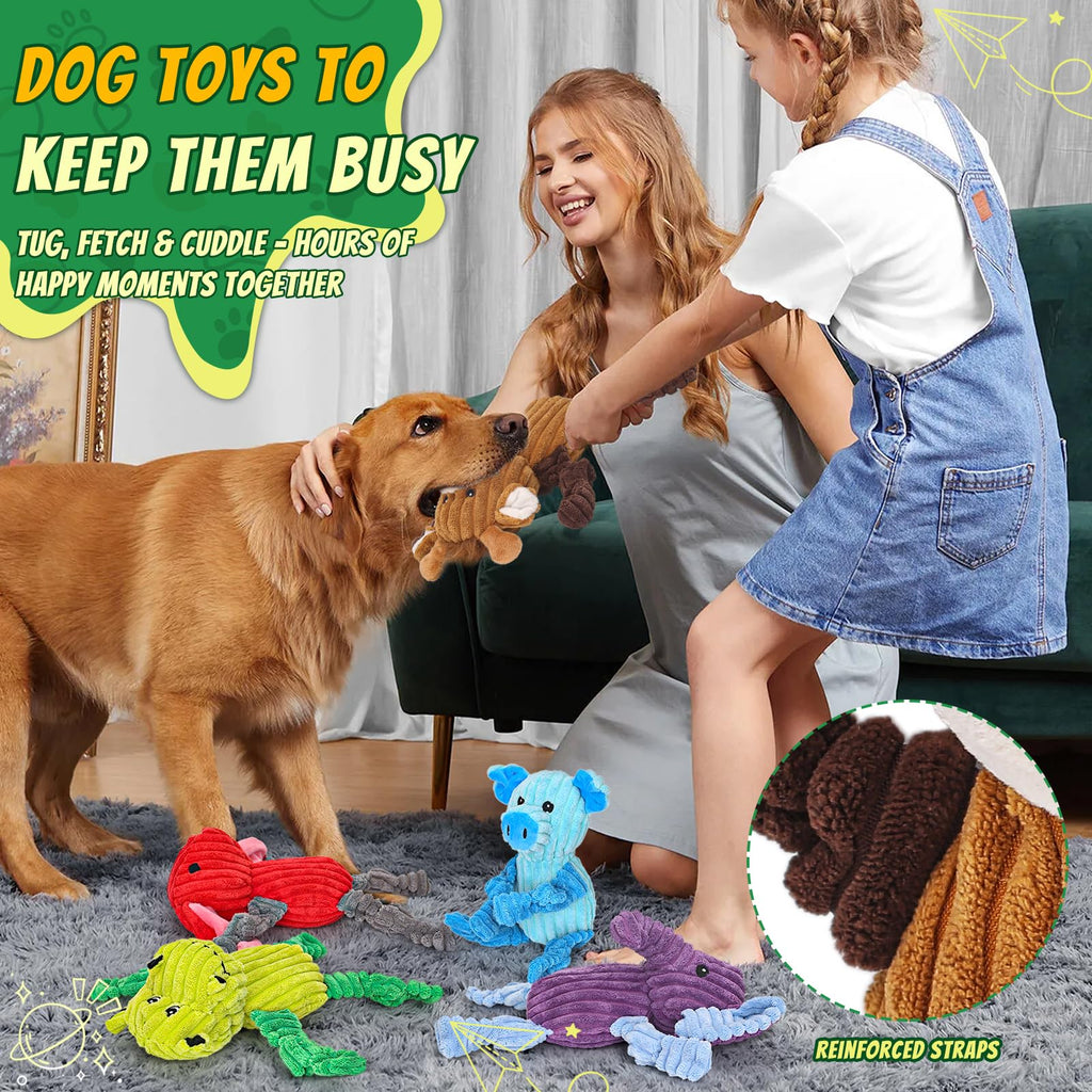 5 Pack Squeaky  Plush Dog Toy Bundle