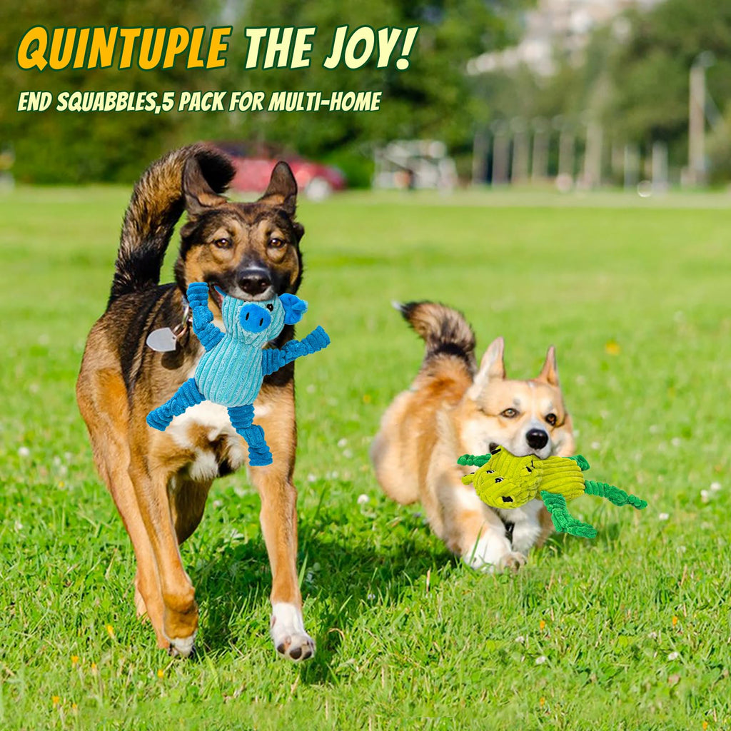 5 Pack Squeaky  Plush Dog Toy Bundle