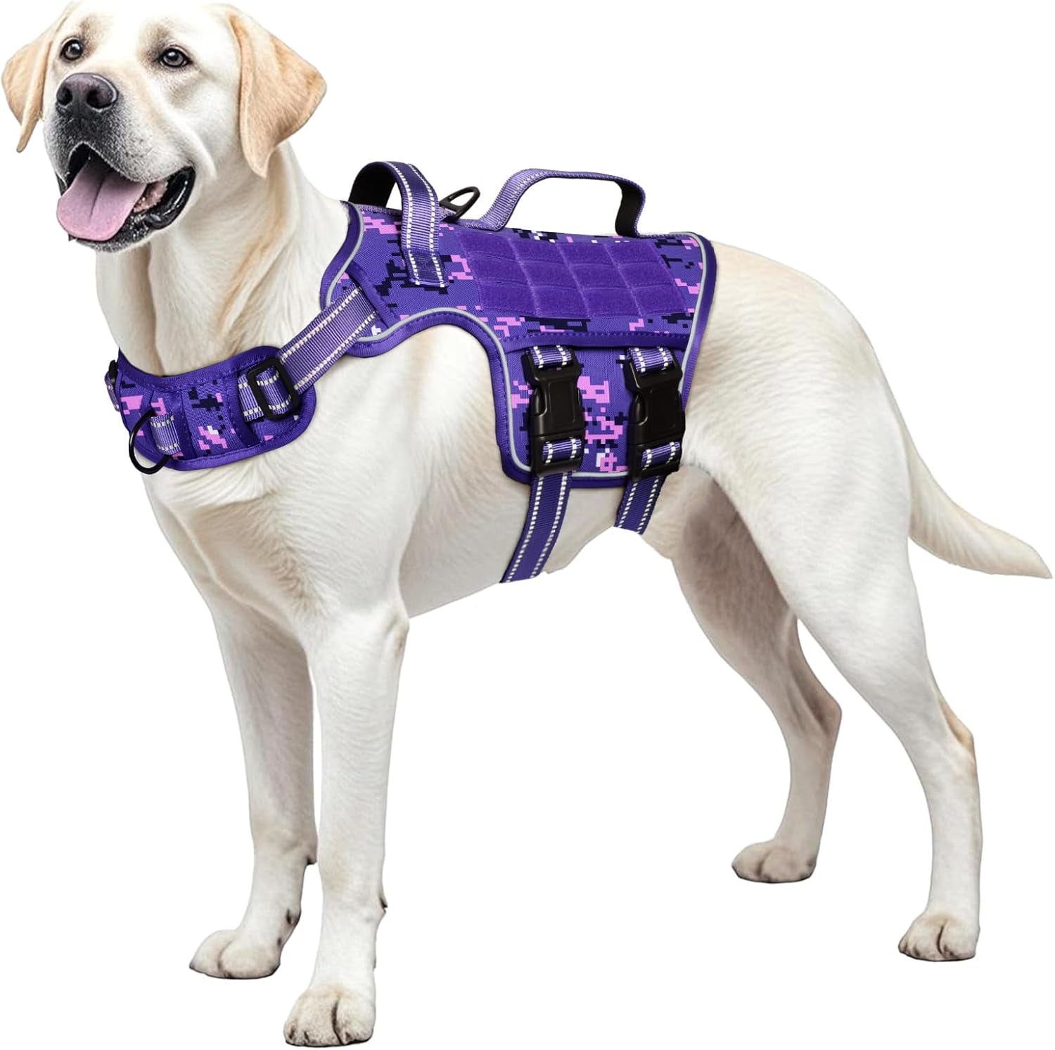 Purple camo tactical dog harness on a white dog, chest straps and buckles visible