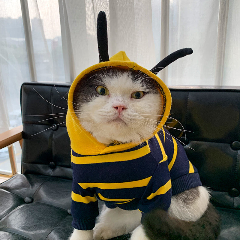 Pet bee costume plush hoodie coat with yellow hood, navy striped body, antenna
