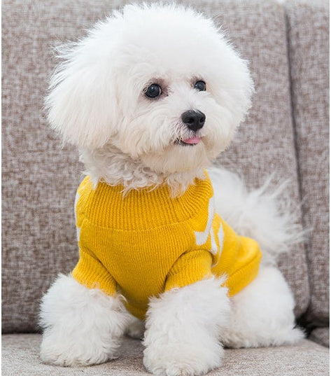 Yellow pet sweater on a small white dog