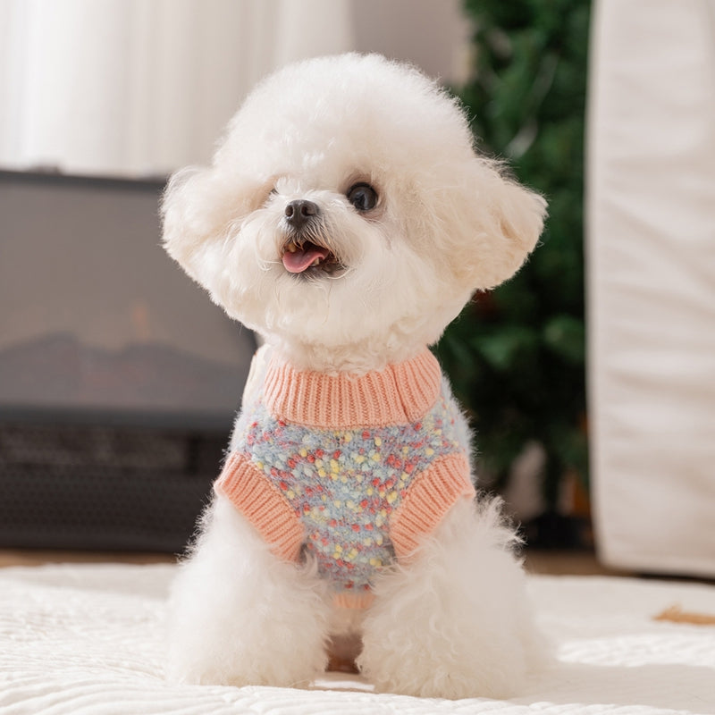 Blue knit pet sweater with orange ribbing and teddy bear pocket, worn by small dog