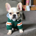 Green pet sweater with orange-and-white striped sleeves and soft hood