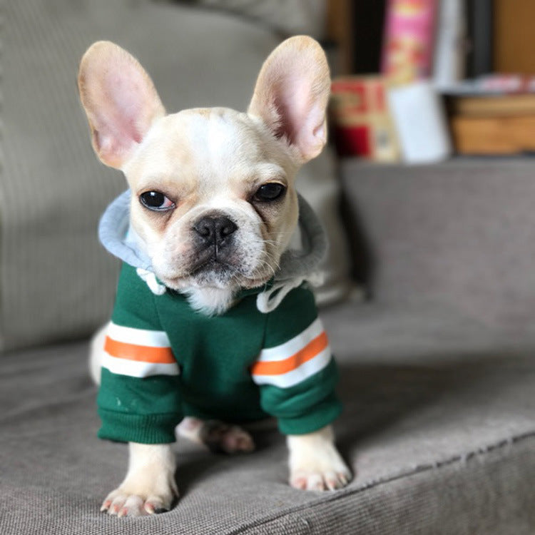 Green pet sweater with orange-and-white striped sleeves and soft hood