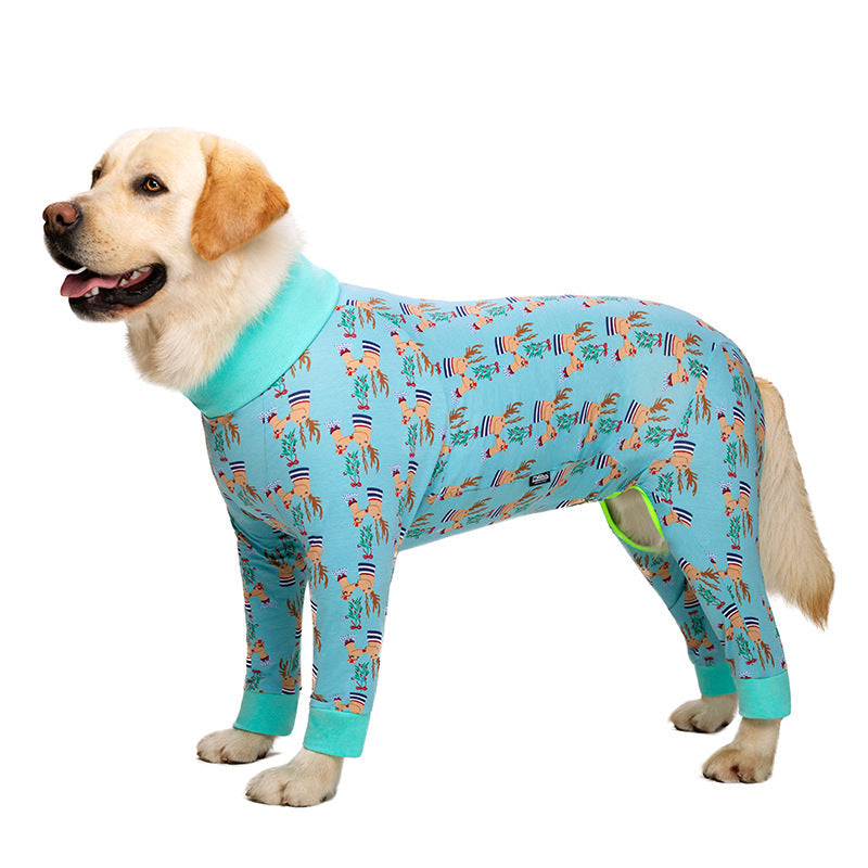 Medium-large dog recovery suit in light blue with cartoon dinosaur pattern and teal cuffs.