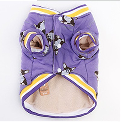 Purple winter dog coat with dog-print pattern, purple and yellow striped trim