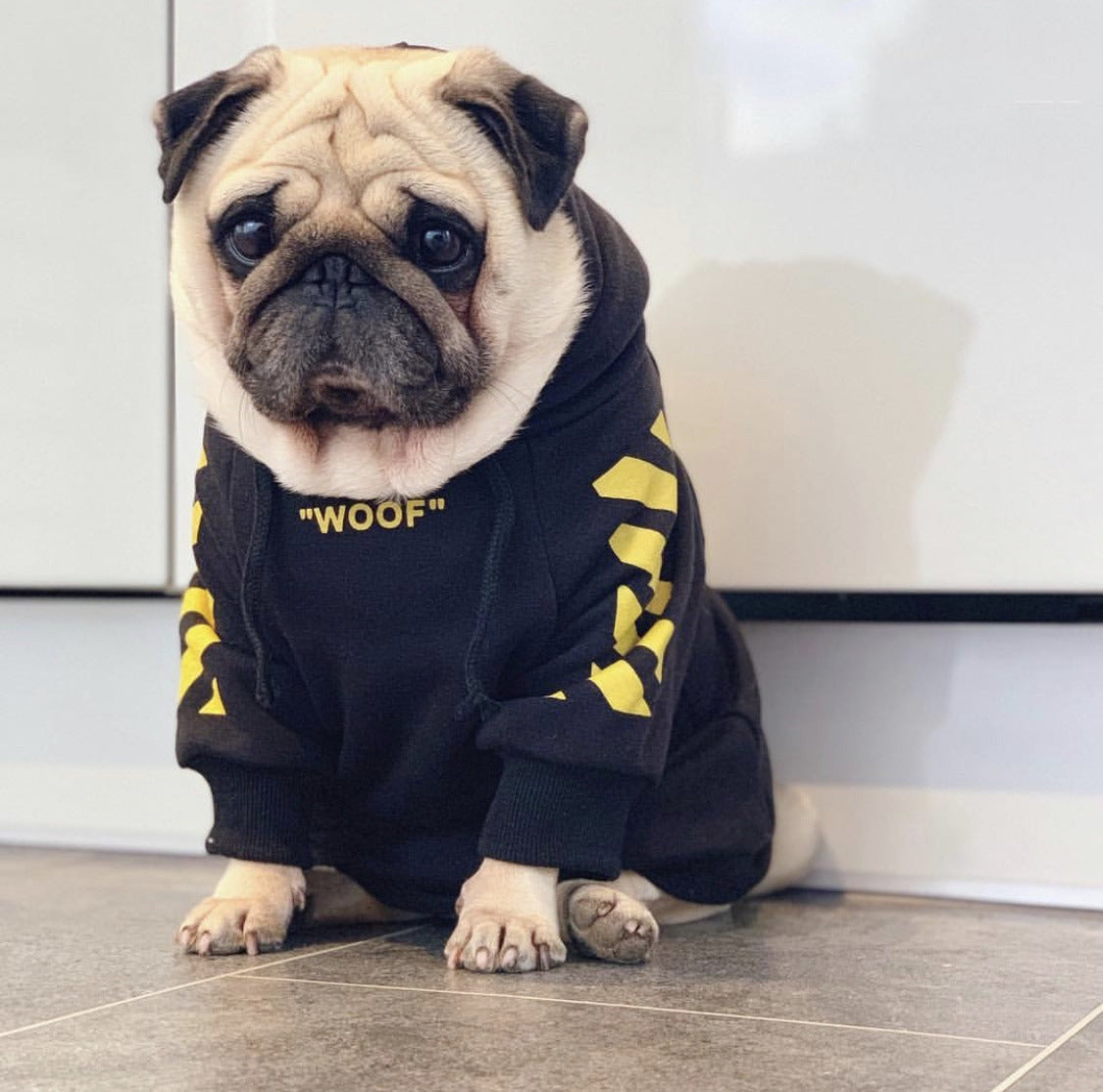 Fresh Pawz Woof Dog Hoodie — Bold Streetwear for Dogs, 3 Colors, Sizes S–2XL