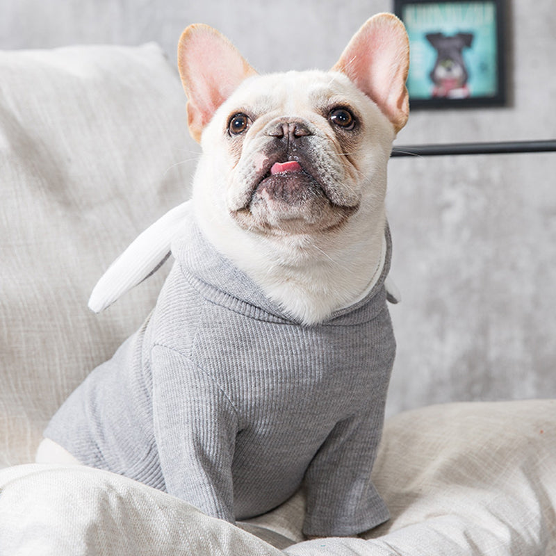 Light gray dog hoodie with bunny-ear hood, front view