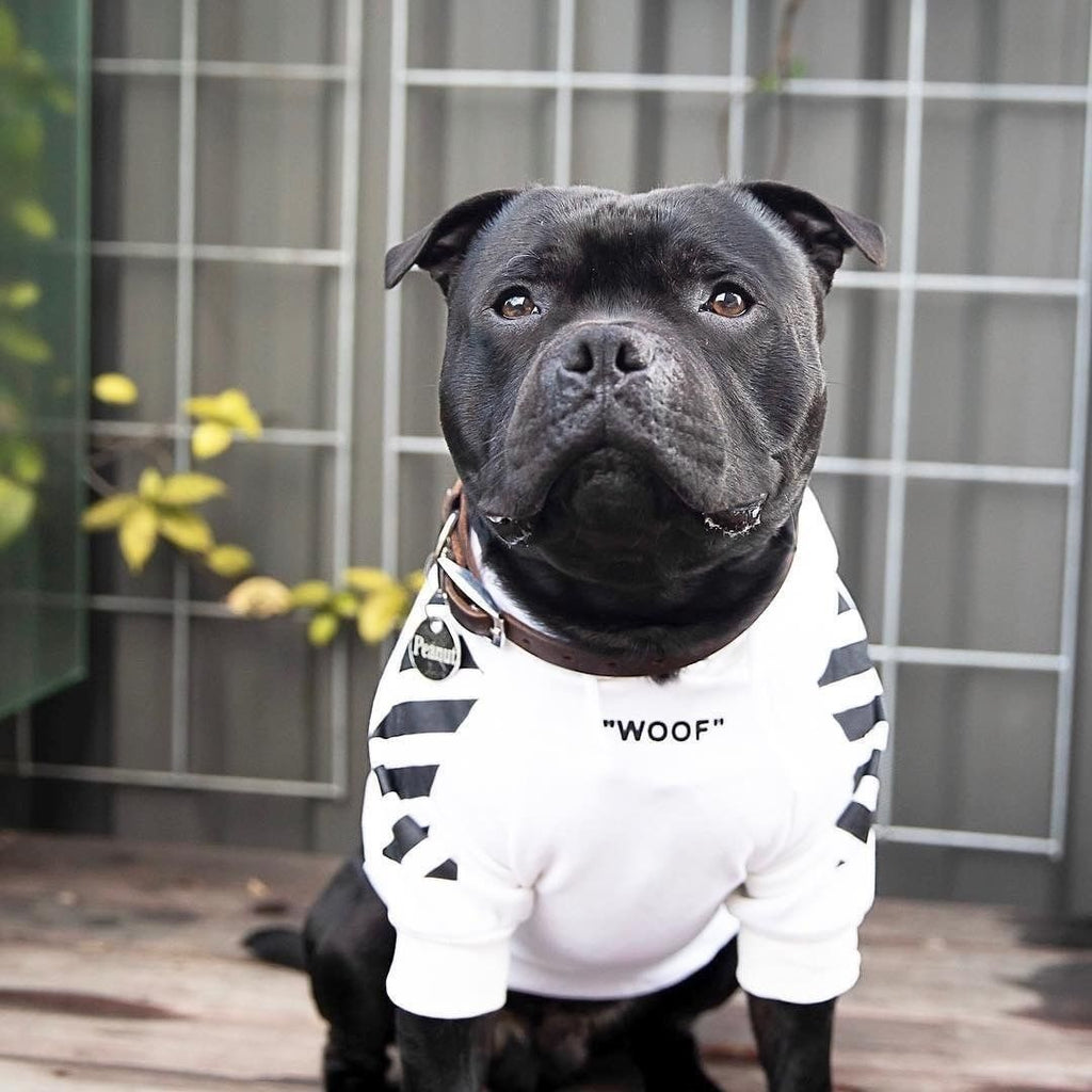 Fresh Pawz Woof Dog Hoodie — Bold Streetwear for Dogs, 3 Colors, Sizes S–2XL