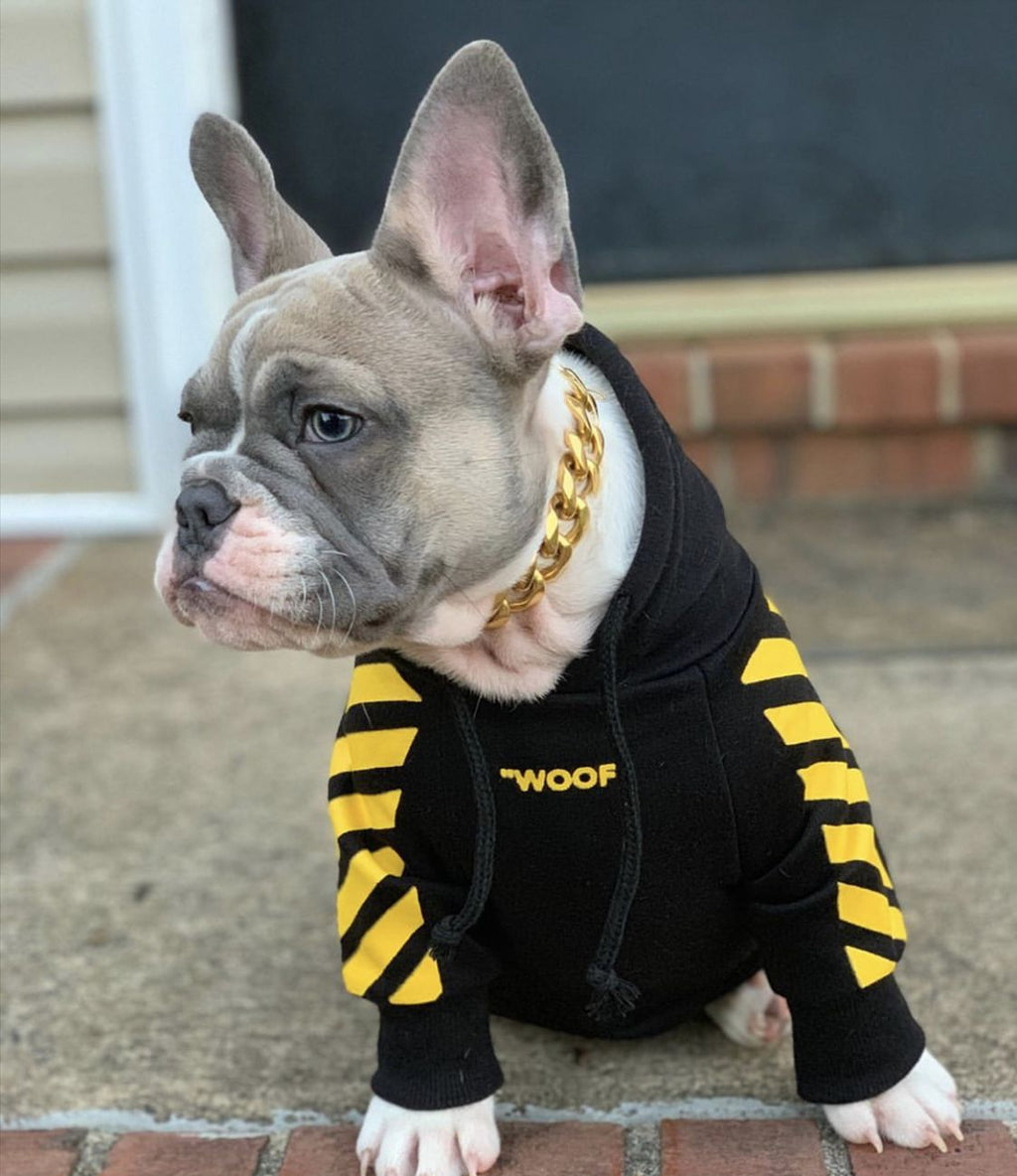 Fresh Pawz Woof Dog Hoodie — Bold Streetwear for Dogs, 3 Colors, Sizes S–2XL