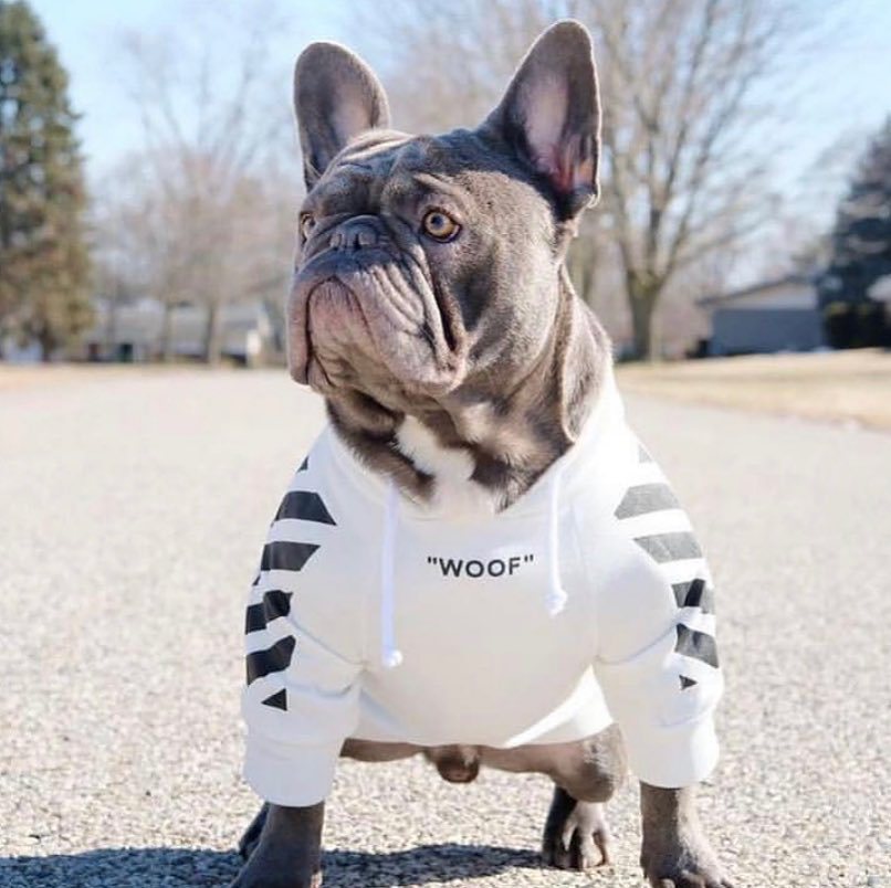 Fresh Pawz Woof Dog Hoodie — Bold Streetwear for Dogs, 3 Colors, Sizes S–2XL