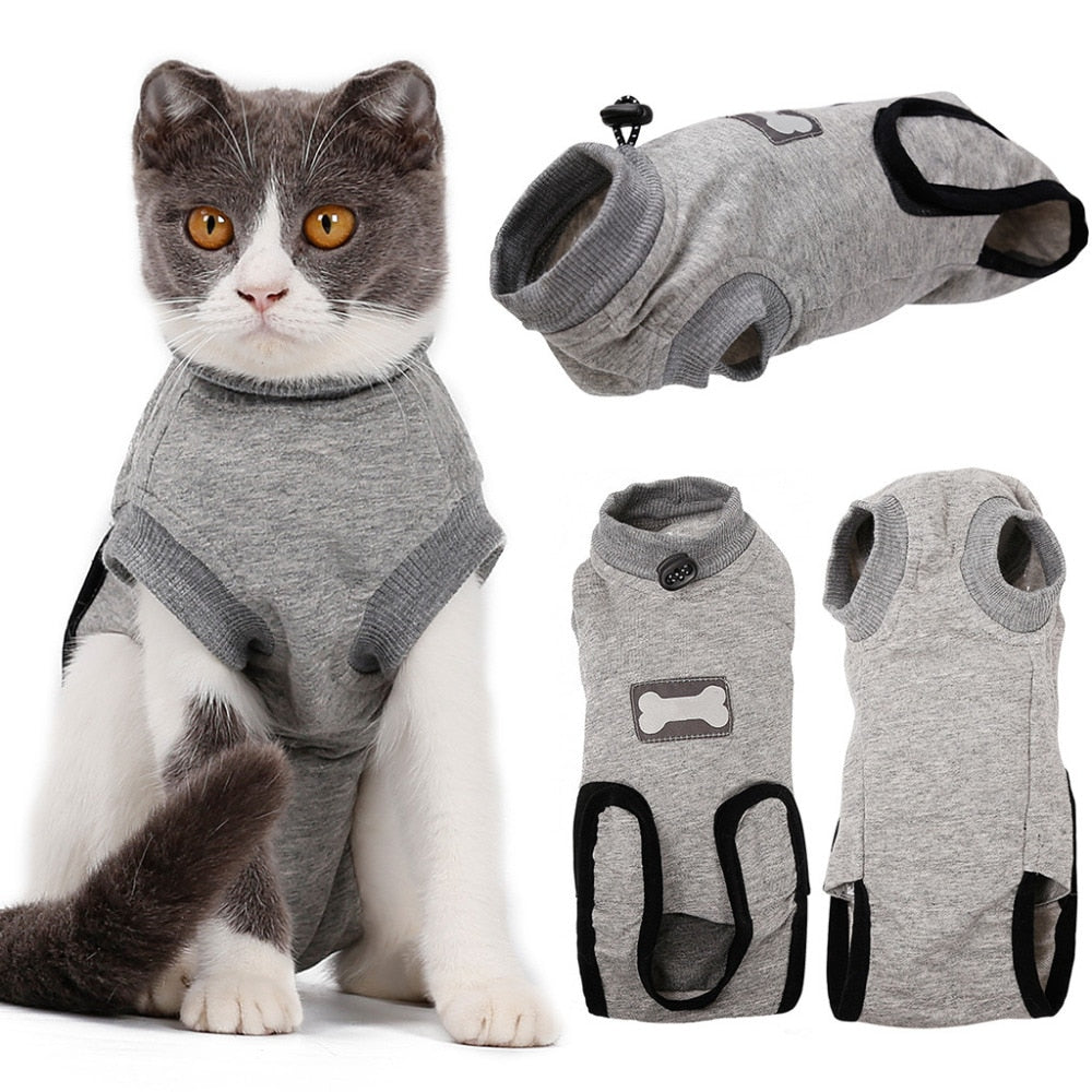Gray cat recovery suit with black arm openings and small flap collar; pet wearing it