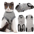 Set of gray cat recovery suits with bone logo and black trim; cat wearing shown