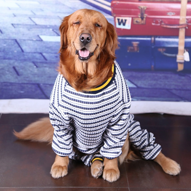 Striped pet dog sweater in navy and white with yellow trim, medium dog sitting