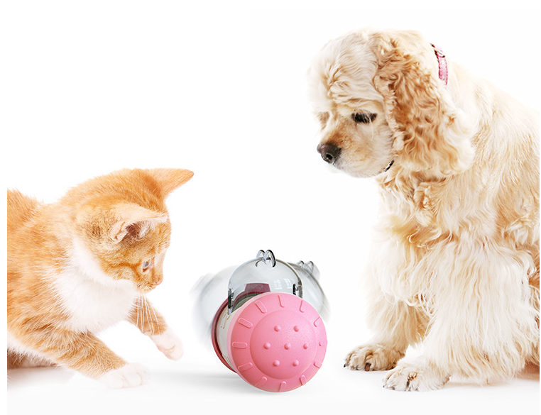 Interactive treat-dispensing wheel toy with clear top and pink-and-white ball body