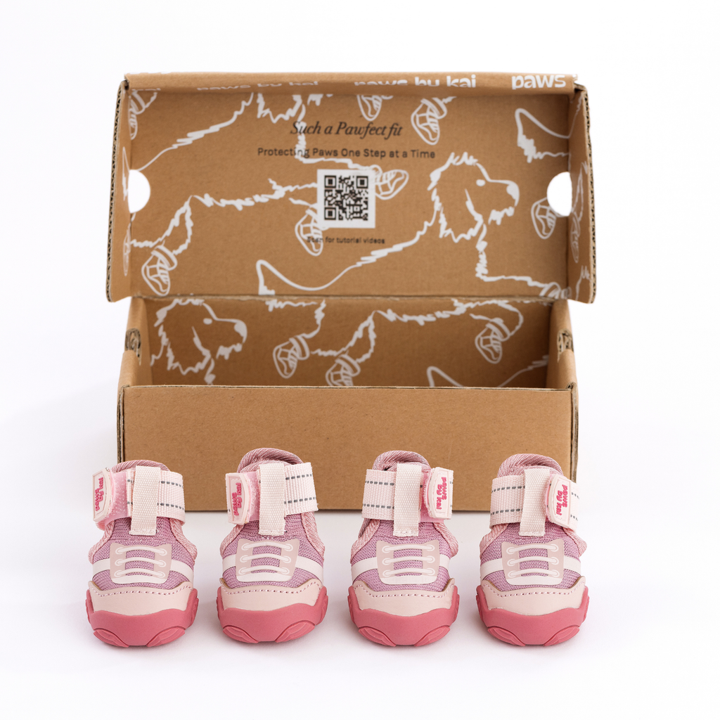 Pink dog sneakers in retail box, four pairs shown