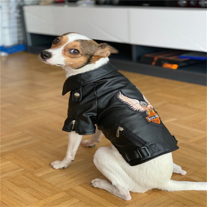 Pet dog jacket on a small dog, dark coat with embroidered eagle patch and zipper pockets