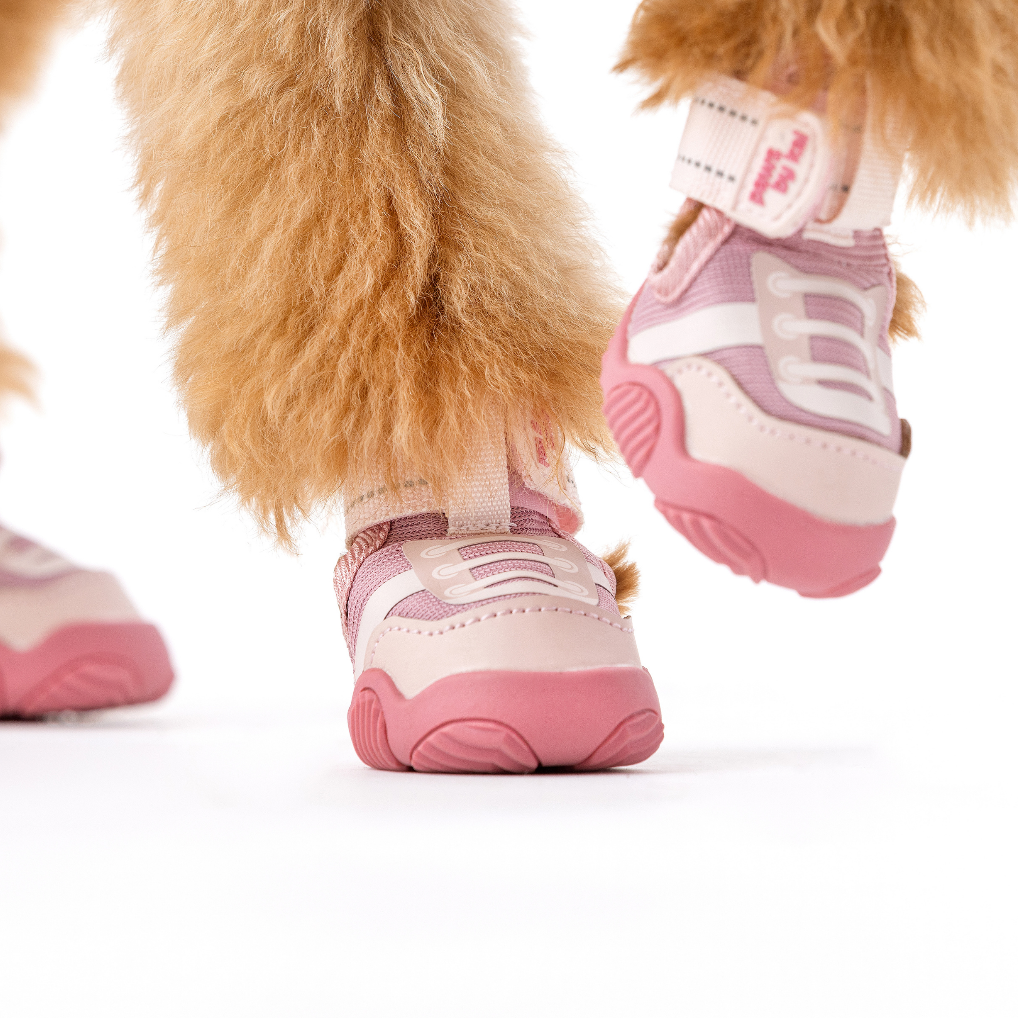 Pink dog sneakers with cushioned soles, front and side view on a dog