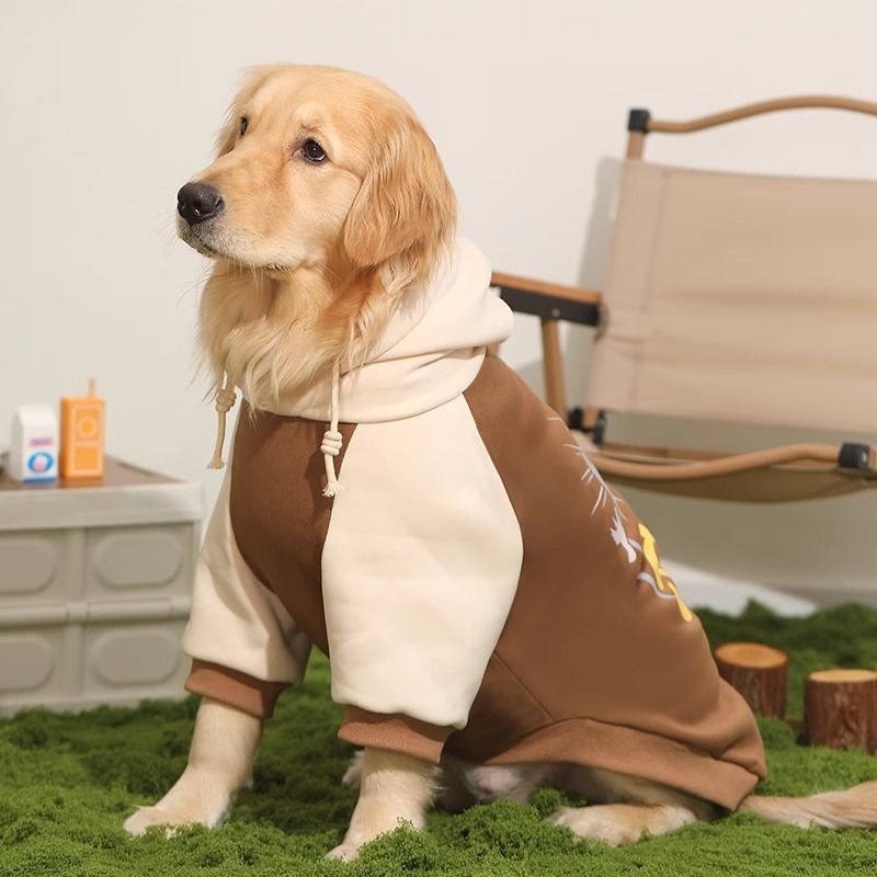 Hooded dog sweater, cream and brown colorblock with drawstring and front pocket