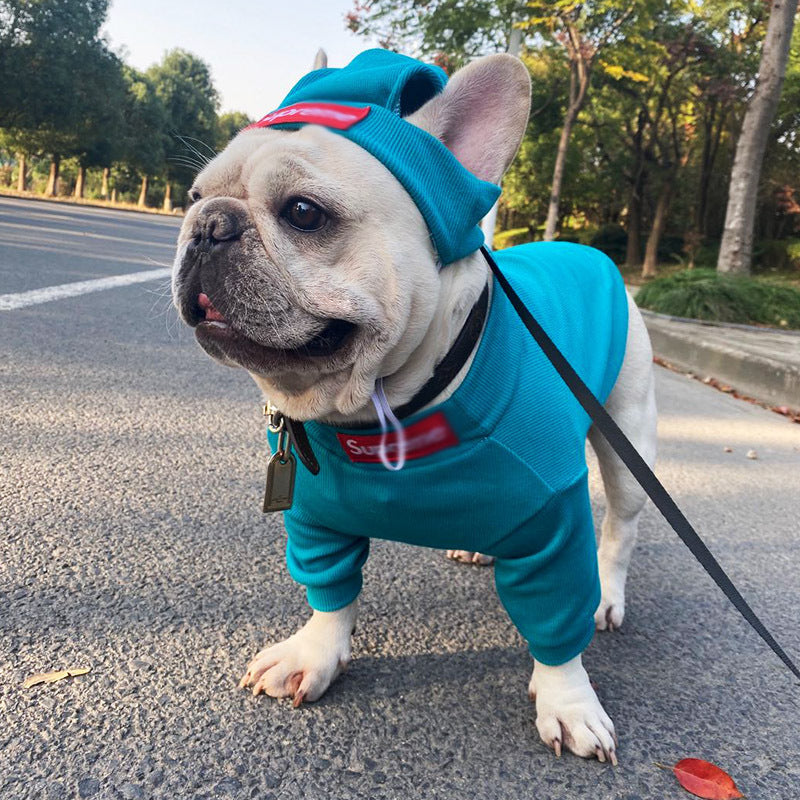 Teal dog outfit and knit hat set with red logo patch