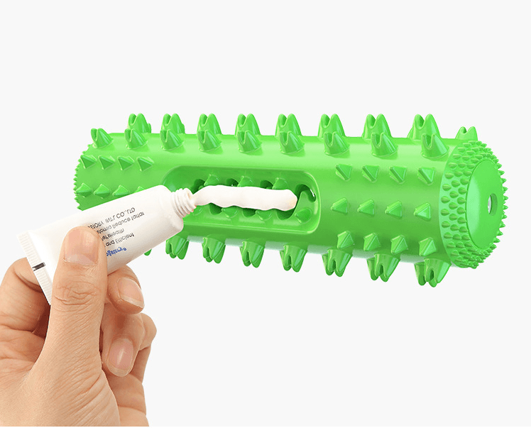 Green spiked dog dental toothbrush teething toy, brush-like ridges