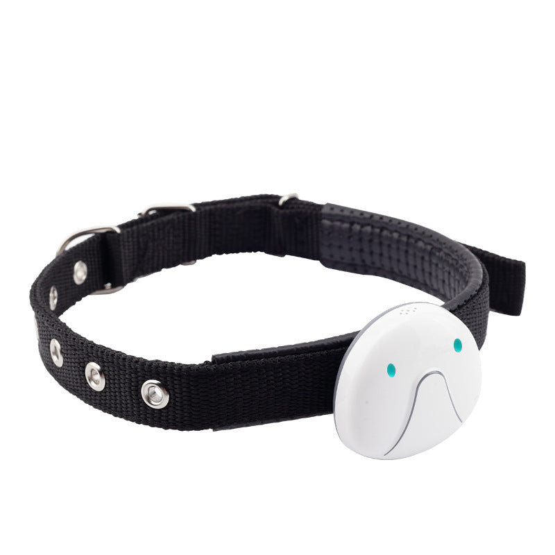 Black pet collar with white locator module and blue indicator lights