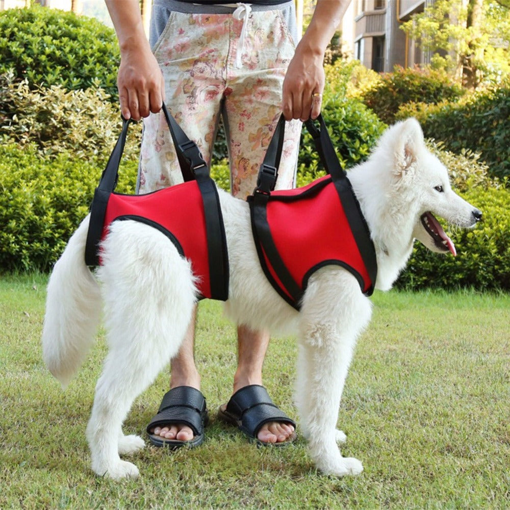 Dog lifting sling with red and black single shoulder strap, adjustable support handles