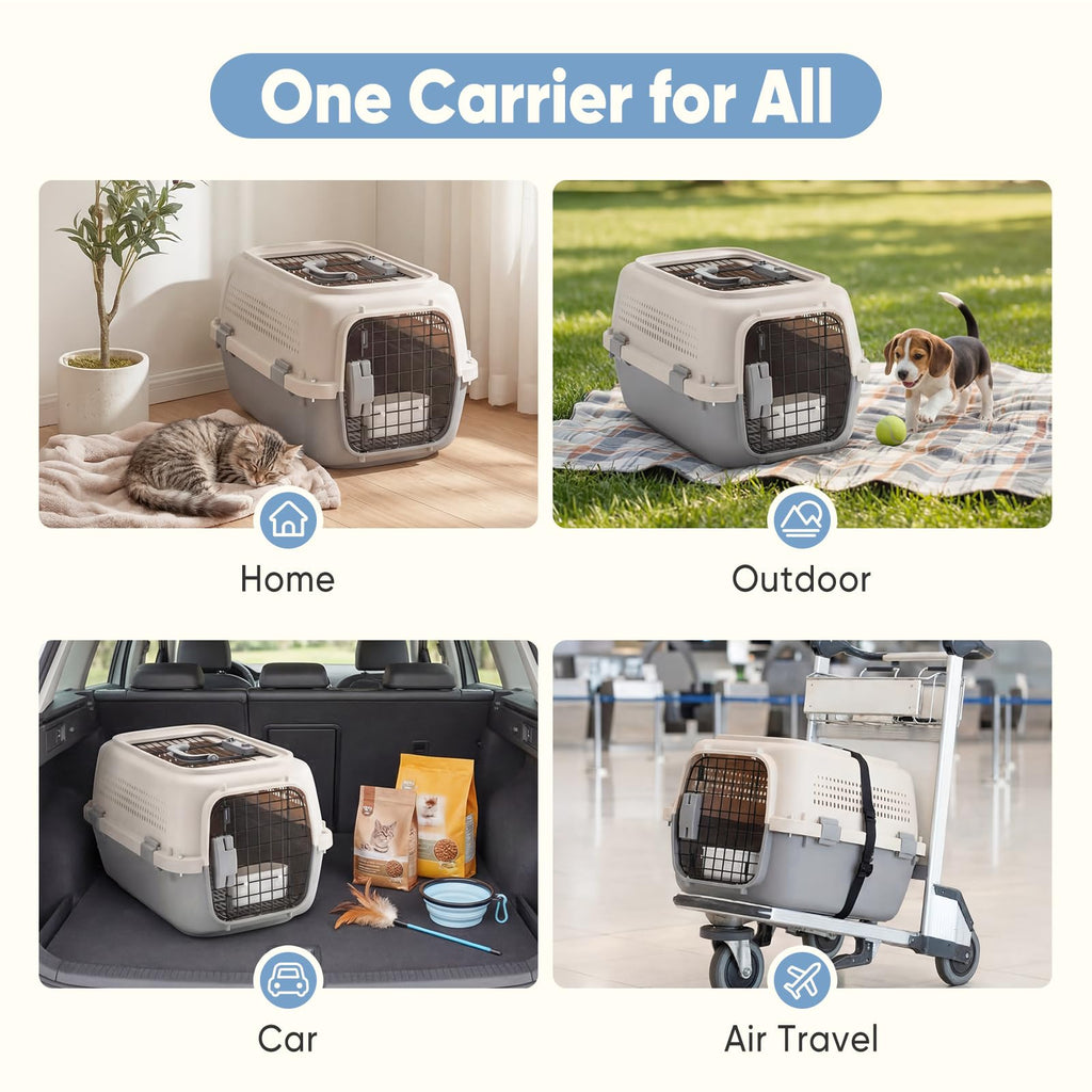 Hard-sided pet carrier for small dogs and cats, with front wire door and top handle
