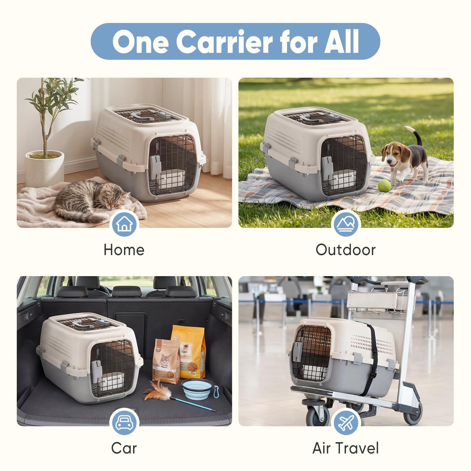 Hard-sided pet carrier for small dogs and cats, with front wire door and top handle