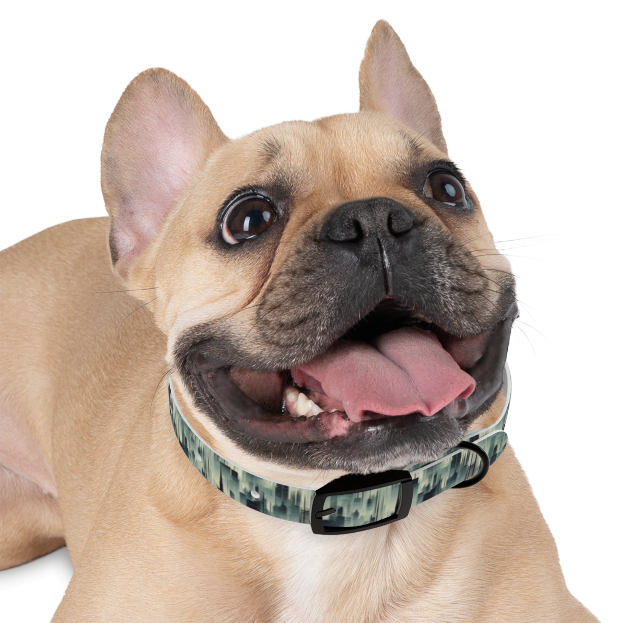 Echoes of a City in Mist Pet Collar — Waterproof TPU, 4 Buckle Finishes, S–XL