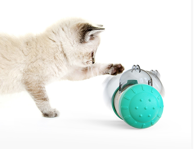 Interactive treat-dispensing wheel toy with clear top and turquoise-and-white body