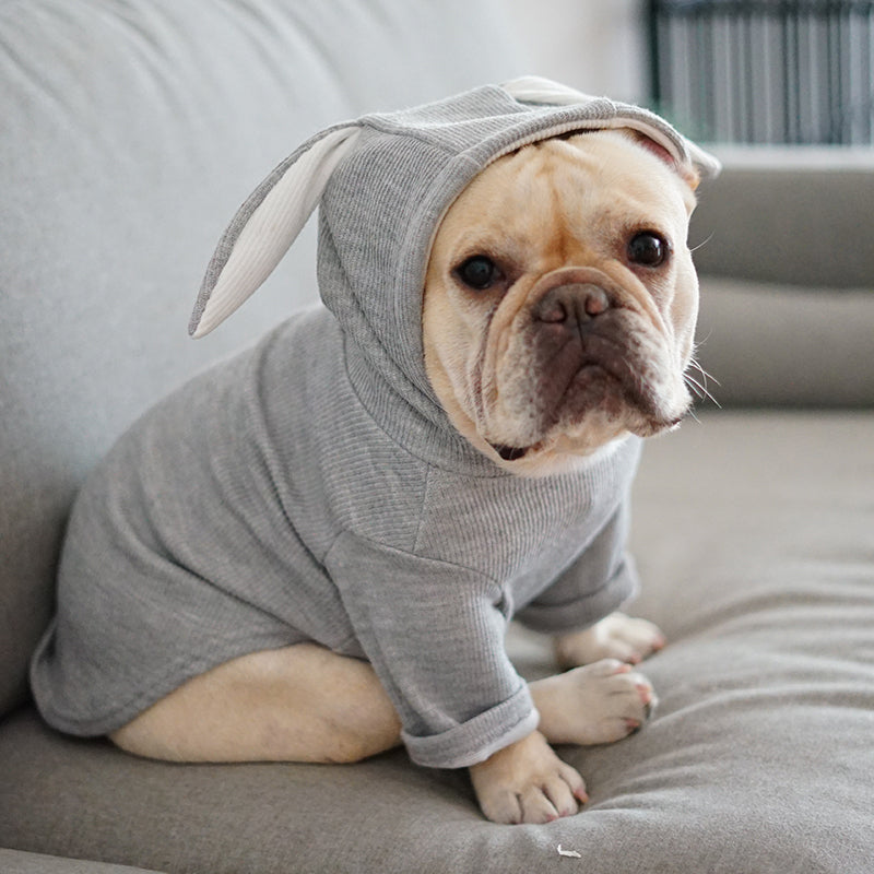 Light gray dog hoodie with hood and long bunny-style ears, short sleeves