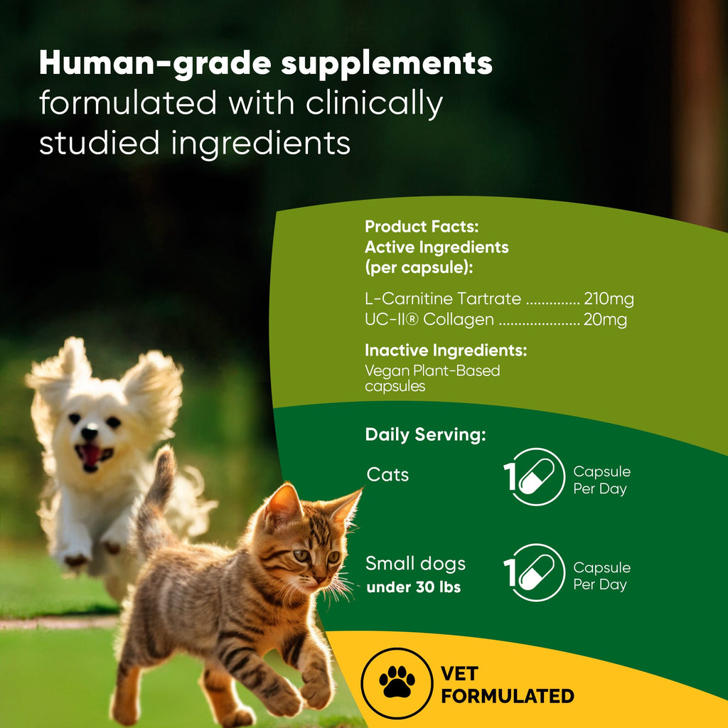 Supplement facts panel with ingredient list and daily serving icons for cats and small dogs.