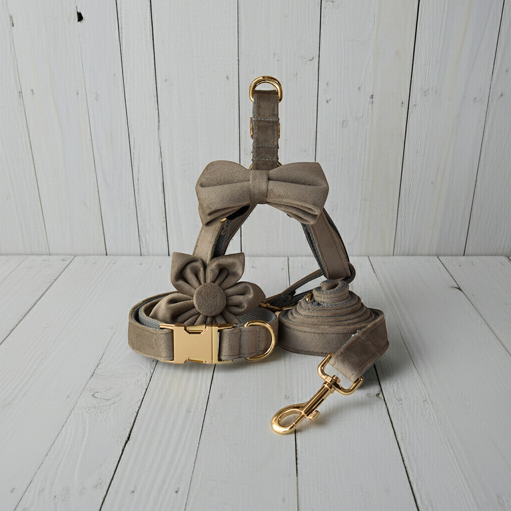 Pet flannel chest strap with gold buckle, bow and flower details, and leash clip