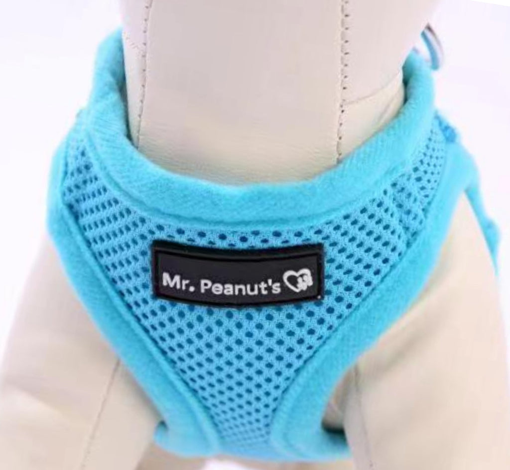 Blue breathable mesh dog harness with black trim and front label patch