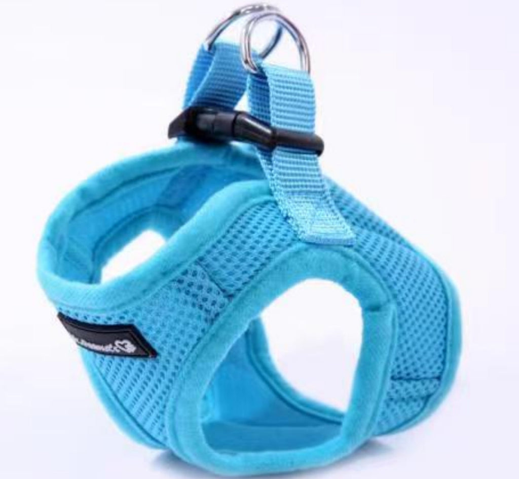 Light blue soft mesh pet harness with front cutout and adjustable buckle straps