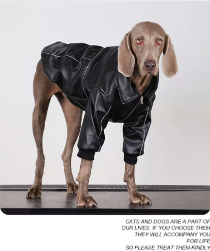 Black dog leather jacket, three-quarter view with front zipper