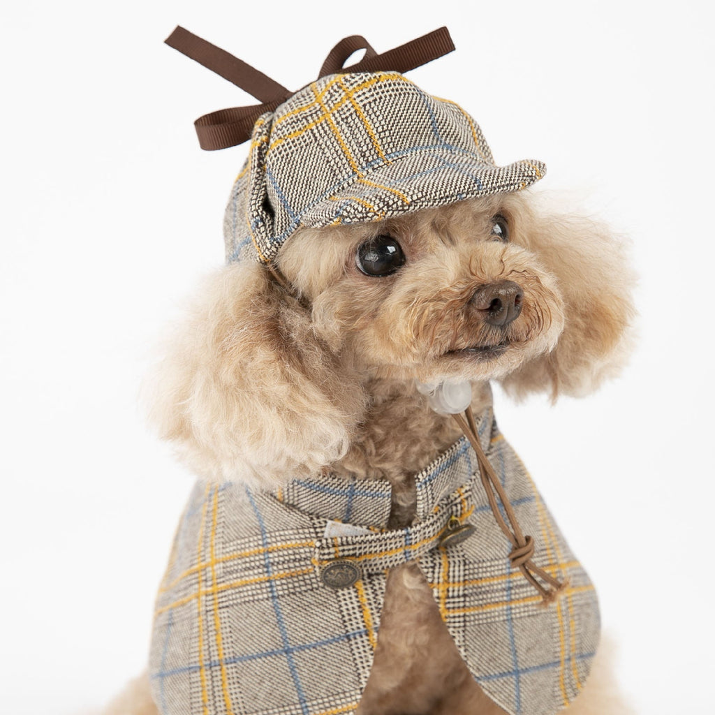 Plaid dog cloak with hood and bow, plus matching hat