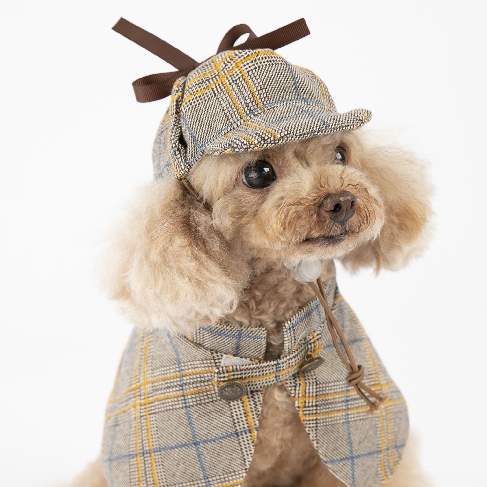 Plaid dog cloak with hood and bow, plus matching hat