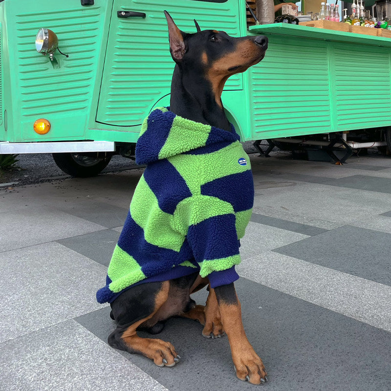Green and navy striped dog hoodie with hooded back and chunky fleece texture.