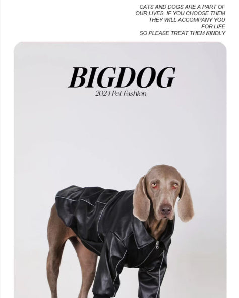 Black dog leather jacket on dog with front zipper and ribbed cuffs.