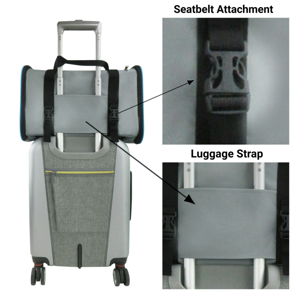Soft-sided pet carrier with seatbelt attachment and luggage strap details on rear panel