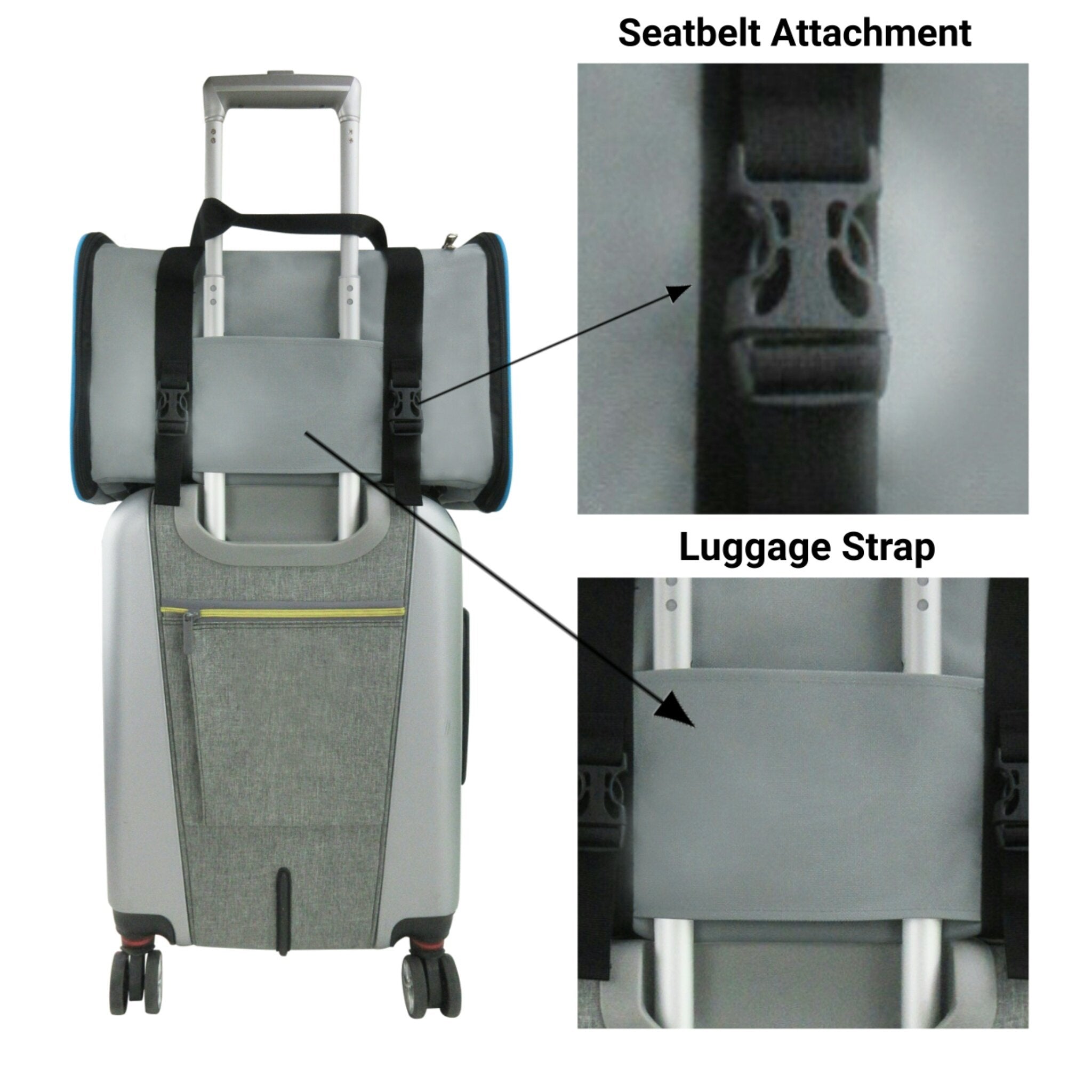 Soft-sided pet carrier with seatbelt attachment and luggage strap details on rear panel