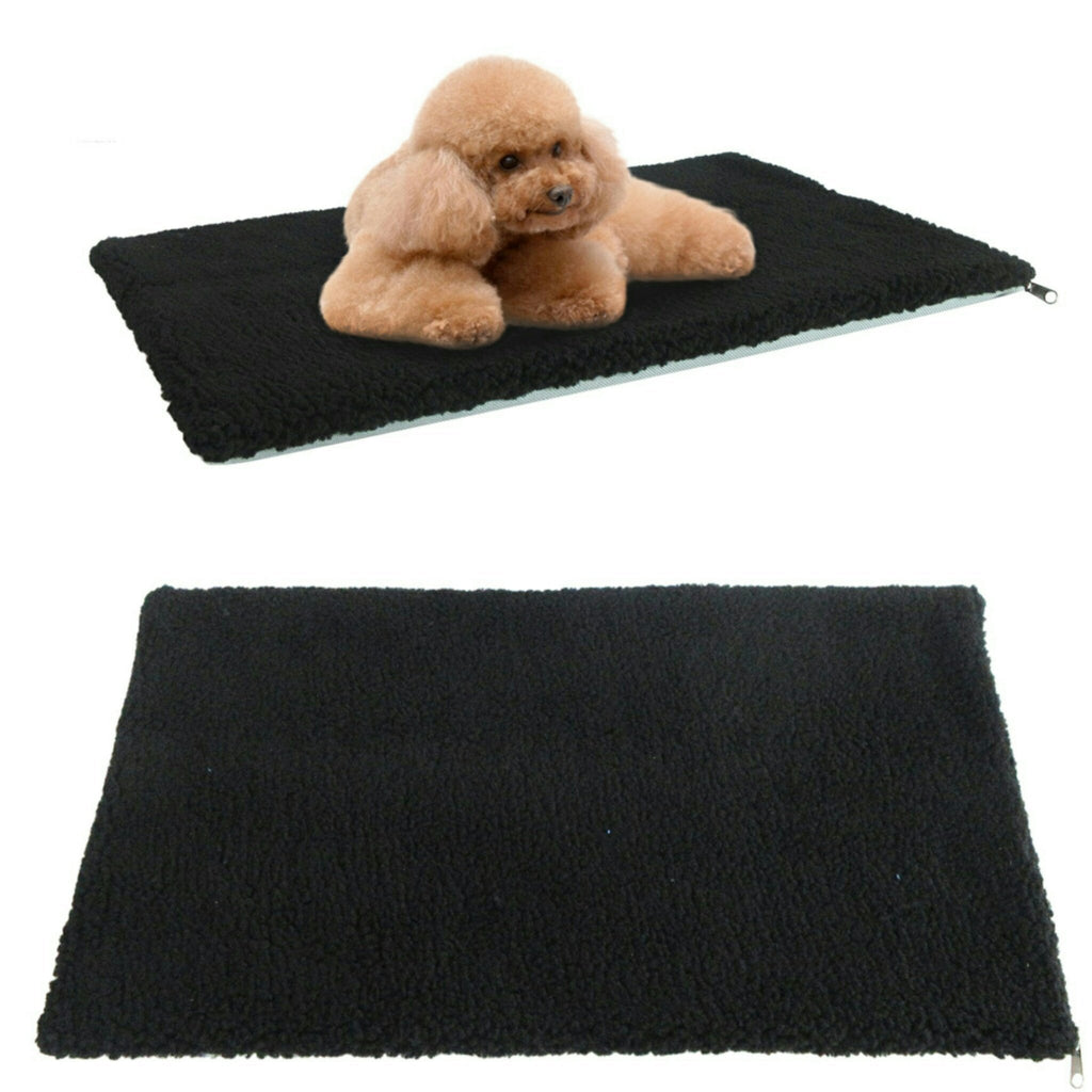 Dark soft-sided pet carrier base with small dog resting on padded mat