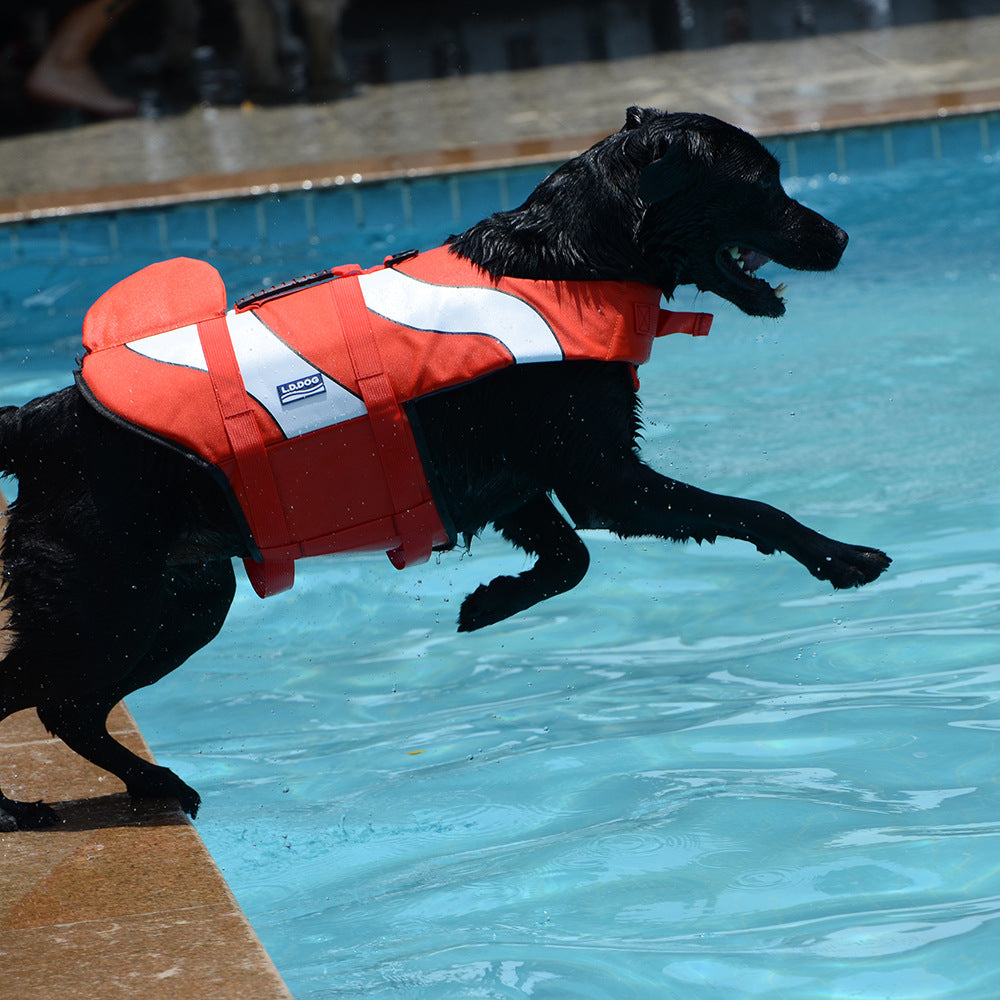 Dog swimming life jacket, red with white stripes and black harness straps