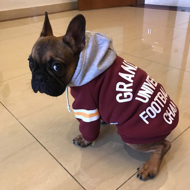 Burgundy pet sweater with light gray hood lining and bold white graphic lettering