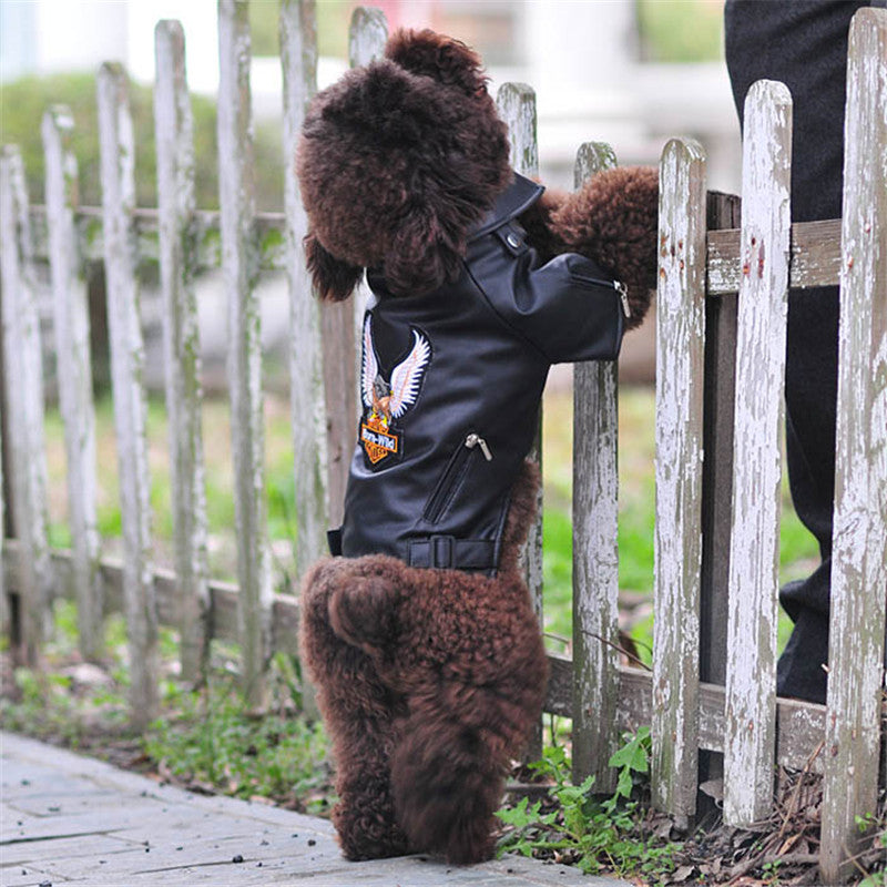 Pet dog jacket for small dogs, dark hooded style with embroidered eagle badge and snaps